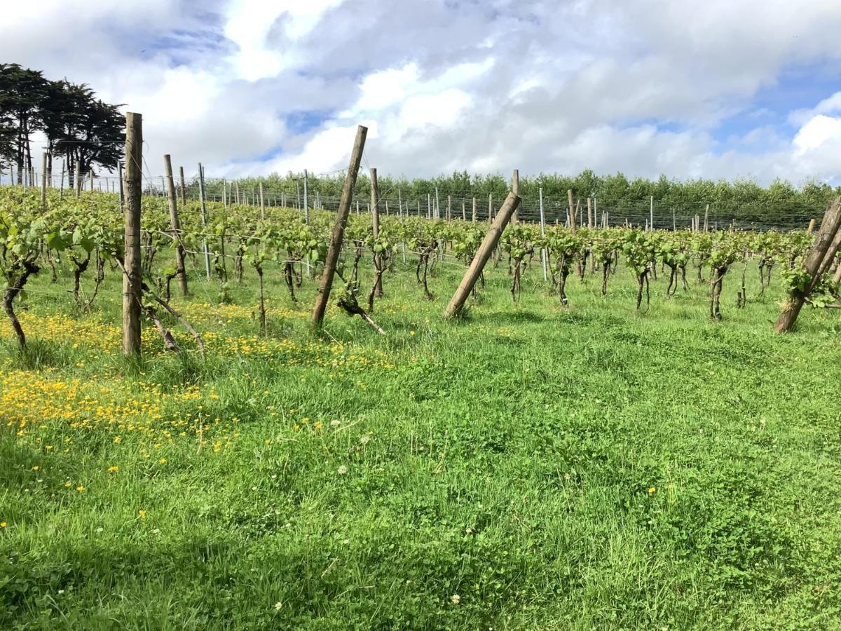 Polgoon Vineyard Annex Penzance Apartment Bagian luar foto